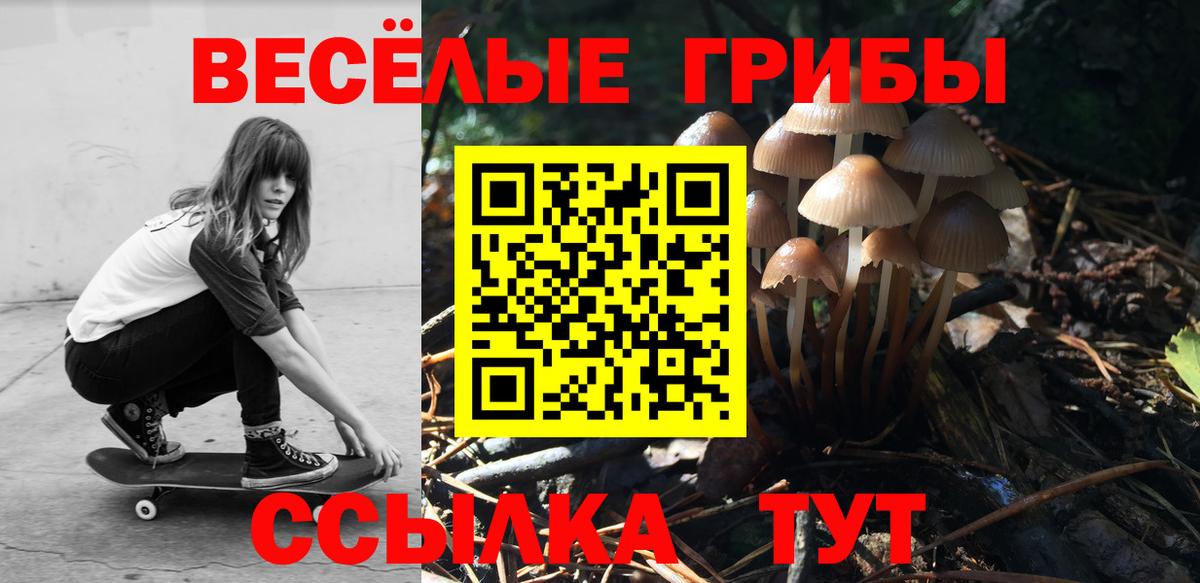 Псилоцибиновые грибы мицелий  Вход с VPN  Наро-Фоминск 