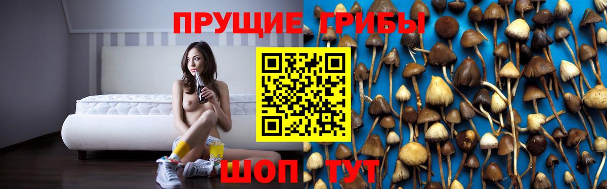 Псилоцибиновые грибы мухоморы Наро-Фоминск